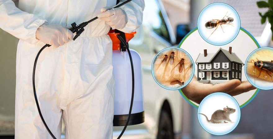 Nilüfer Böcek İlaçlama