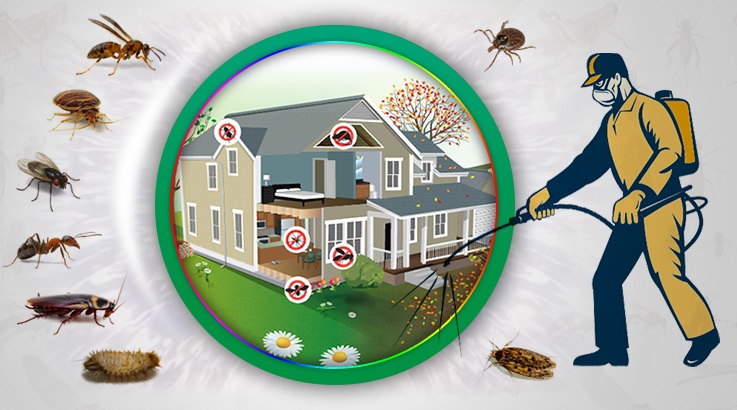 Nilüfer Böcek İlaçlama