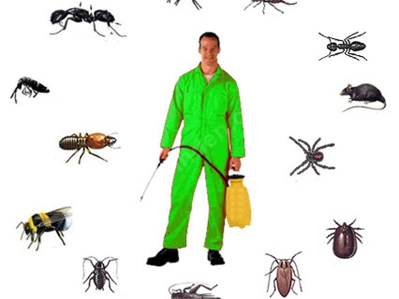 Nilüfer Böcek İlaçlama